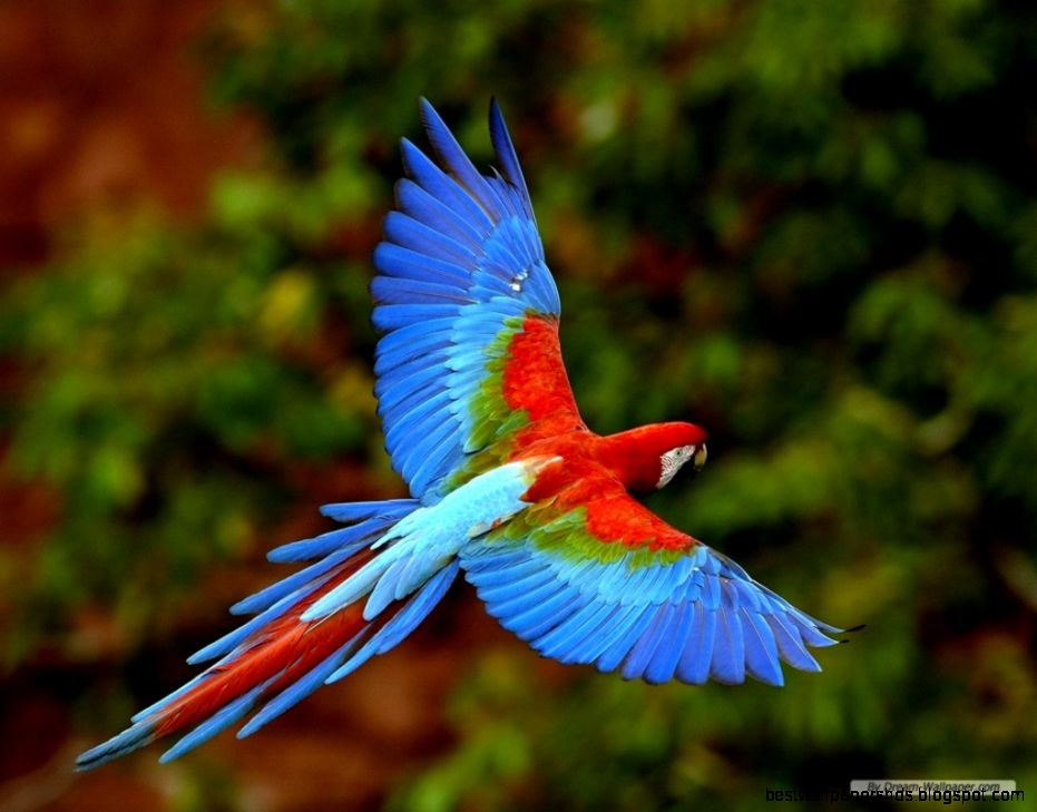 Gallery Wallpaper Online Wallpapers Free Gallery Wallpaper Online Wallpapers Free