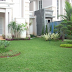 Cara Merawat Rumput Gajah Mini