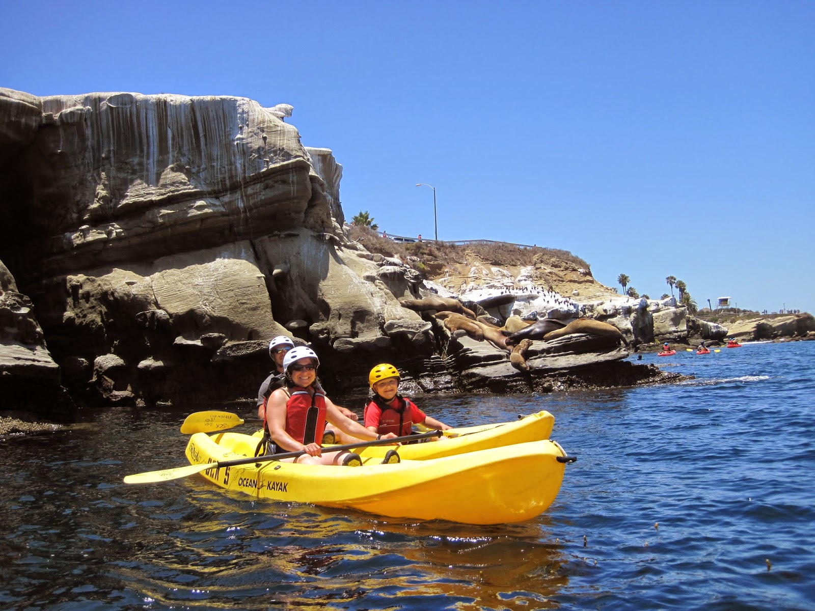 La Jolla Sea Cave Kayaks