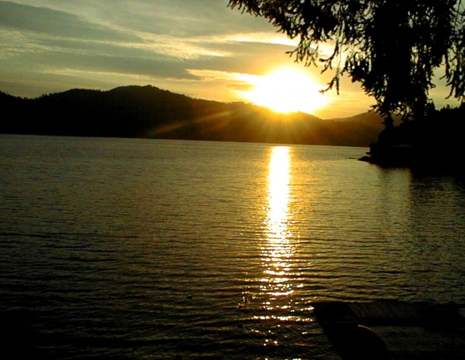 Pictures of Deer Lake Pictures of Deer Lake