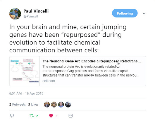 Natural GMOs Part 269. In your brain and mine, certain jumping genes have been “repurposed” during evolution to facilitate chemical communication between cells