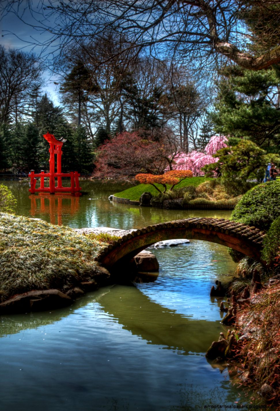 Garden Blue Sky Color Natural Sun Lighting Clean Water Surface Garden Blue Sky Color Natural Sun Lighting Clean Water Surface