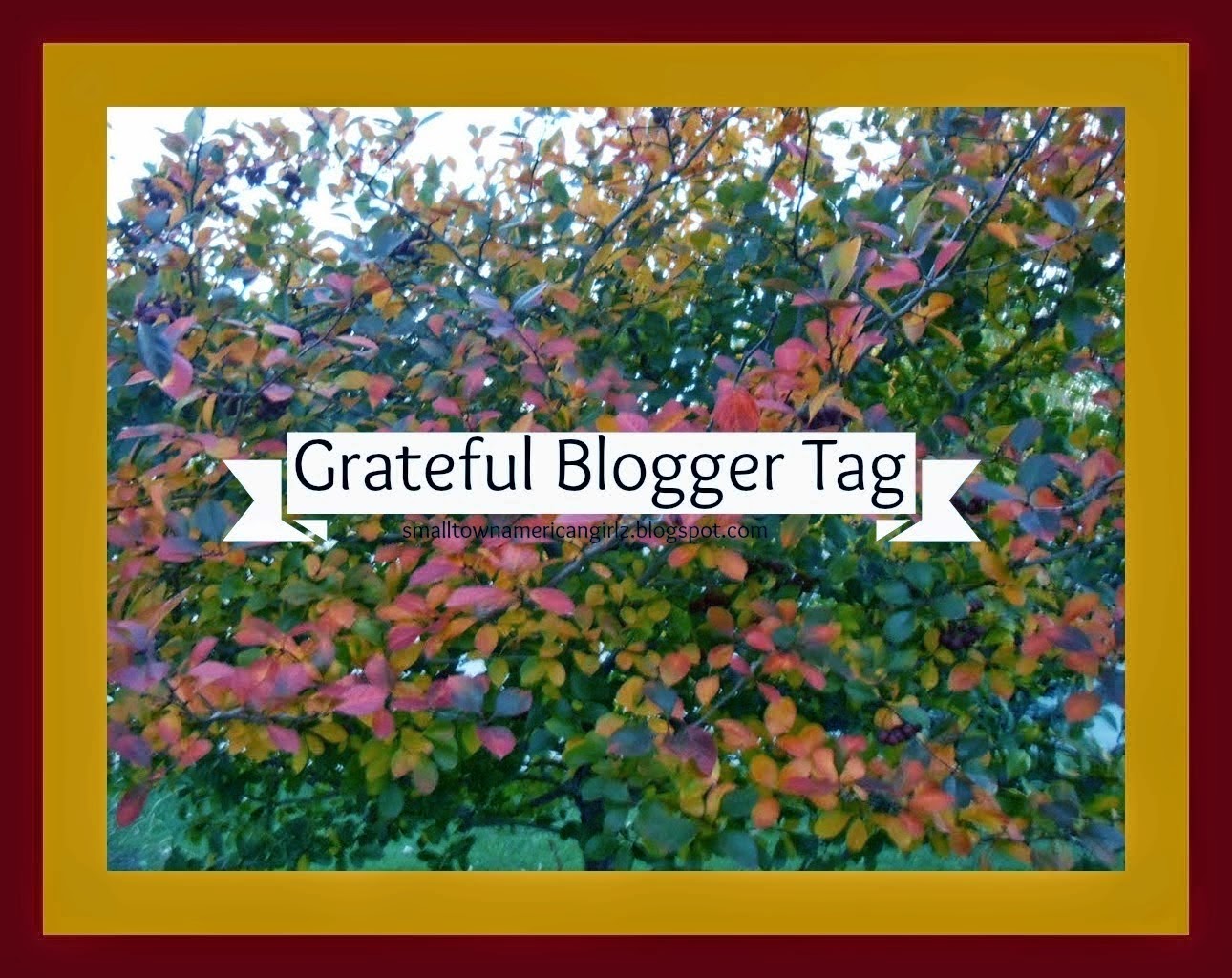 Grateful Blogger Tag