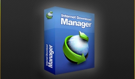 Free Download Internet Download Manager Terbaru Dan Serial Number