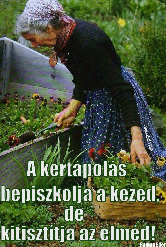 Kertápolás