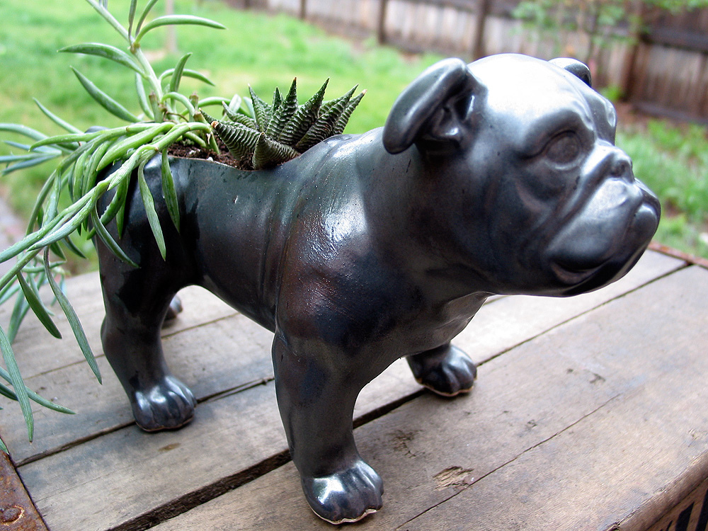 paradis express: Bulldog Planter
