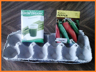 wheat grass and Anaheim chile pepper seed packets atop an egg carton