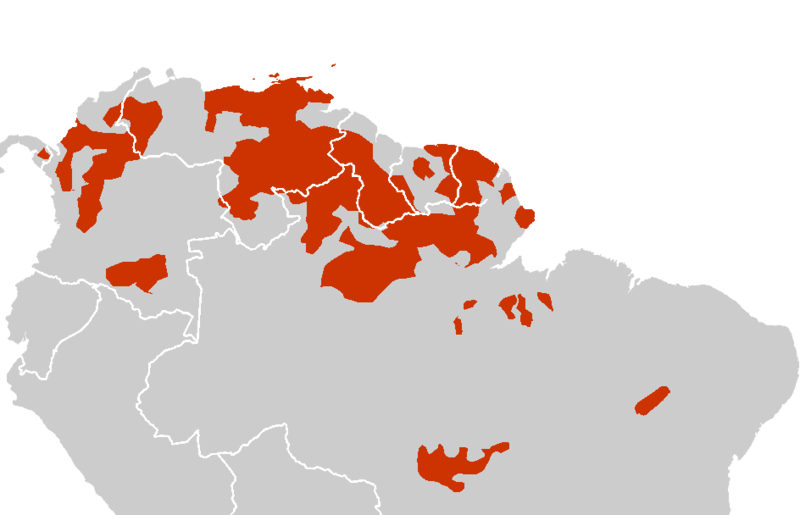 Cultura Caribe Historia Universal