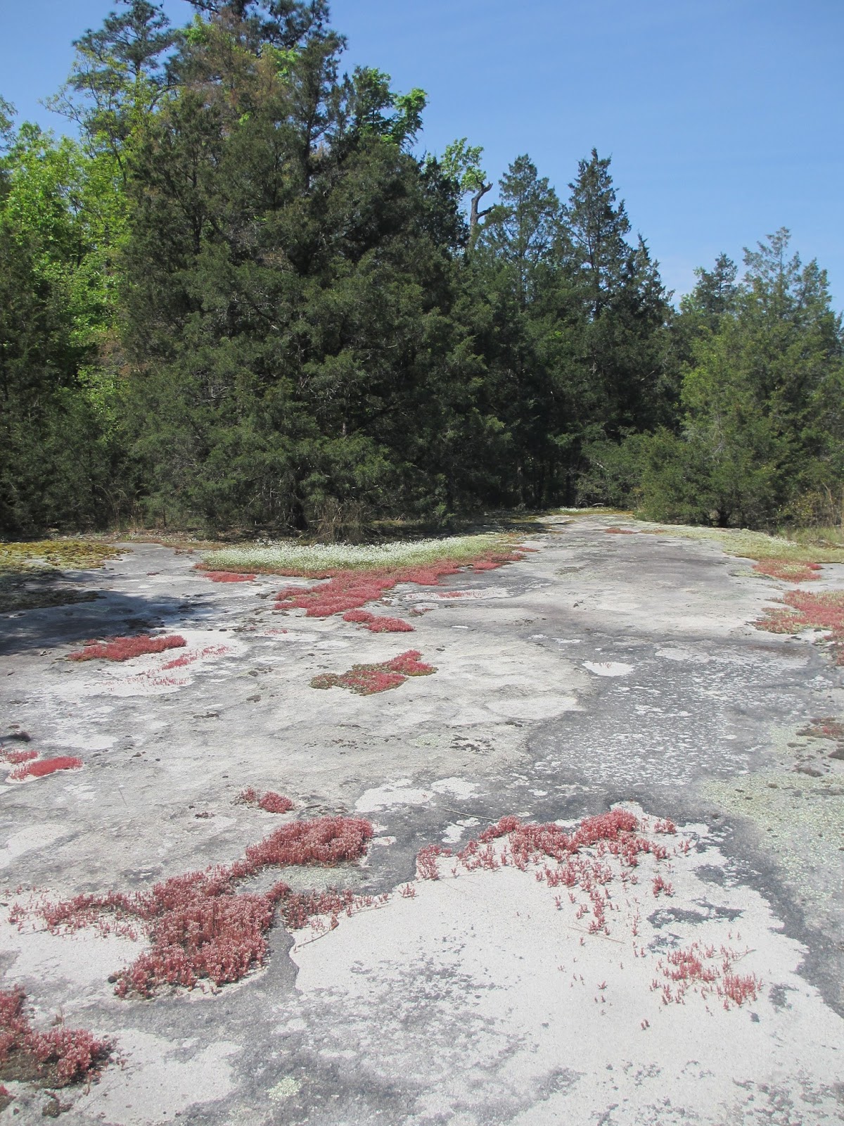 Triangle Naturalist Temple Flat Rock (Wendell, Wake County, North