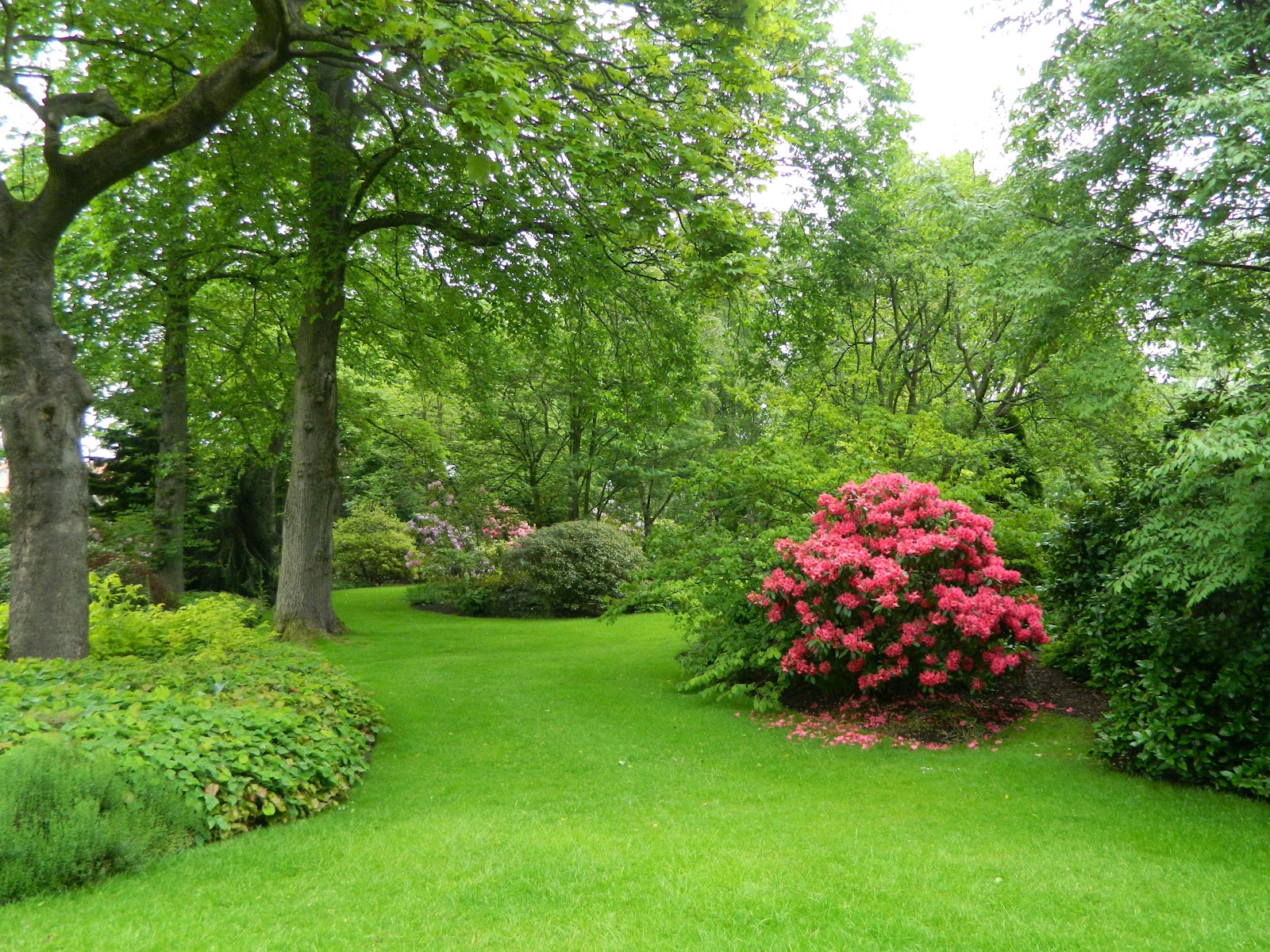 Mordu and Rachel in Providence: Holyrood Palace and Abbey