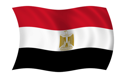 الثورة المصرية_ 25 يناير 2011