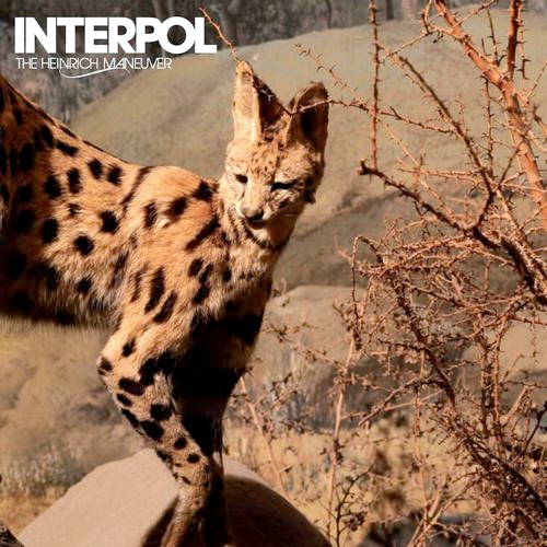 interpol our love to admire zip