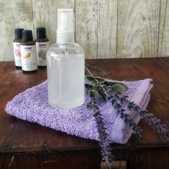 Paula Parrish DIY Leave In Conditioning Spray