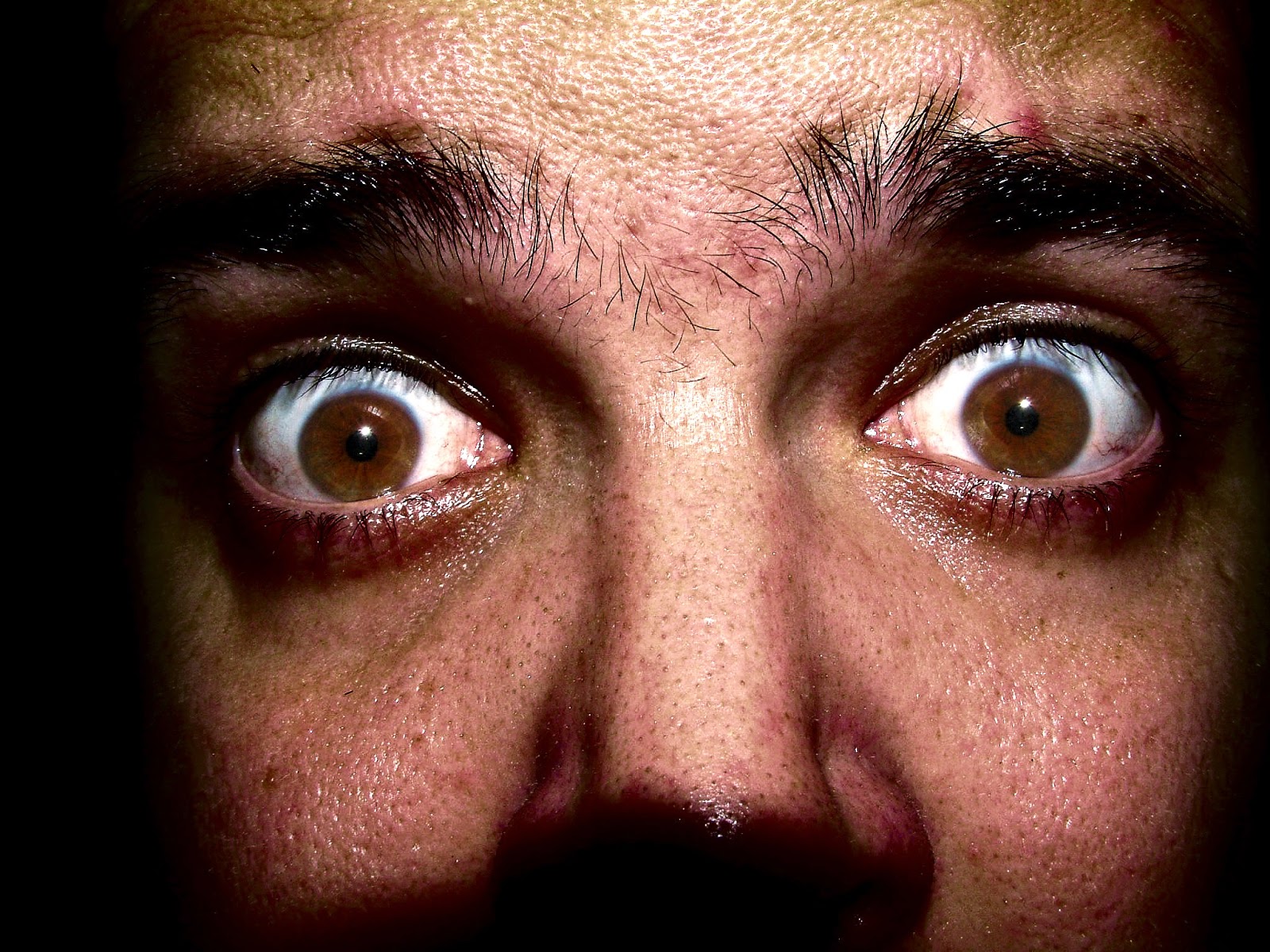 The Coming Depression November 2012