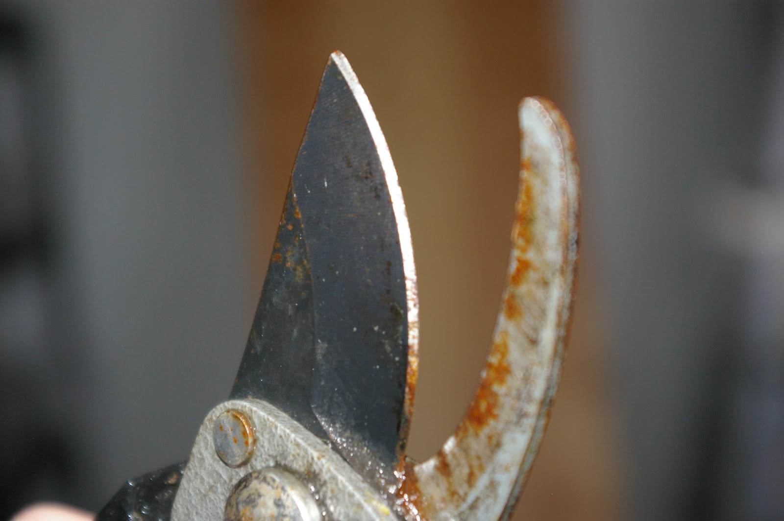 A Better Life How to Sharpen Loppers and HandPruners