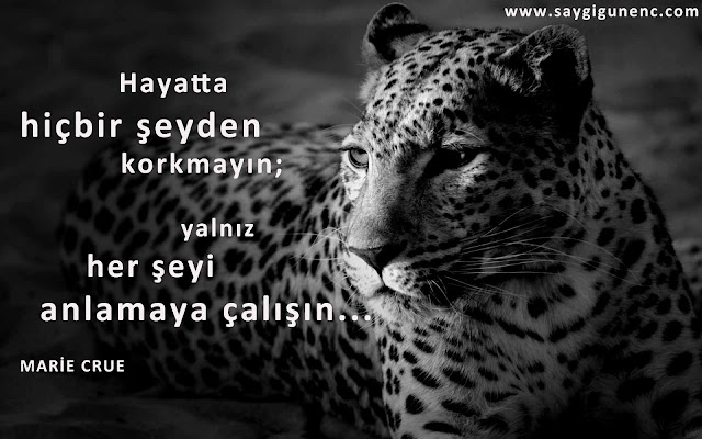motivasyın
