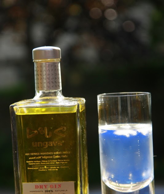 Le Singe a Soif Ungava Dry Gin