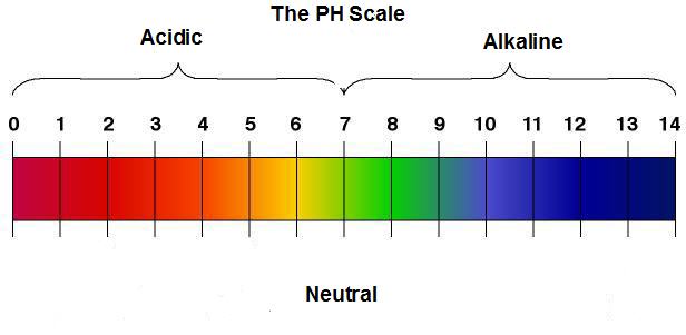 Ph Of Skin