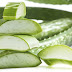 Natural Beauty Tips, 10 Tips for Hair  Beat dandruff with aloe vera gel