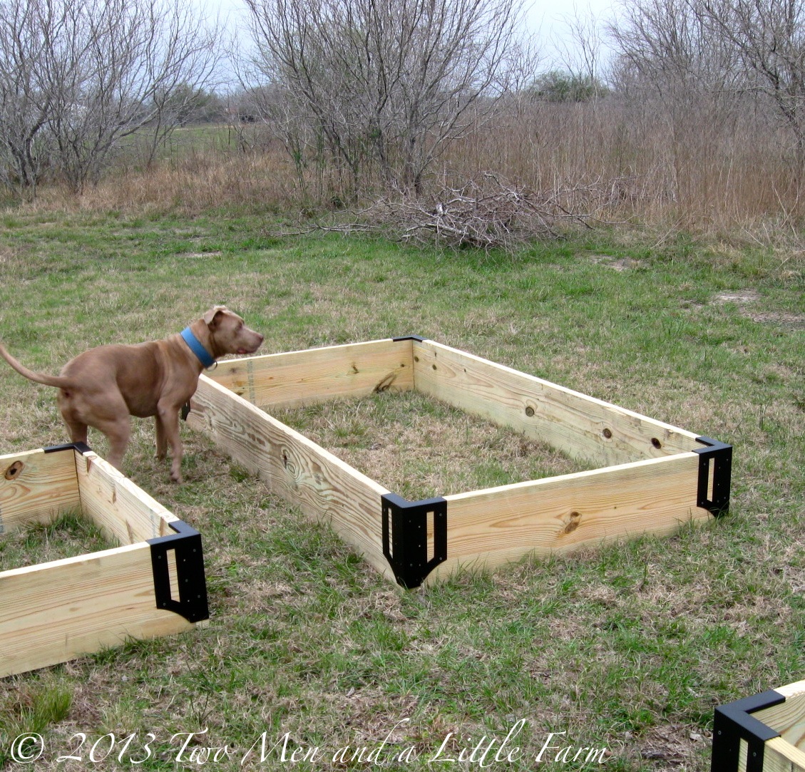 Two Men and a Little Farm RAISED GARDEN BEDS, STEP ONE COMPLETE