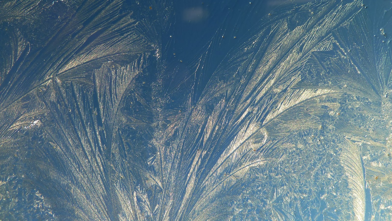 C 365 Images THREE DIFFERENT TYPES OF FROST