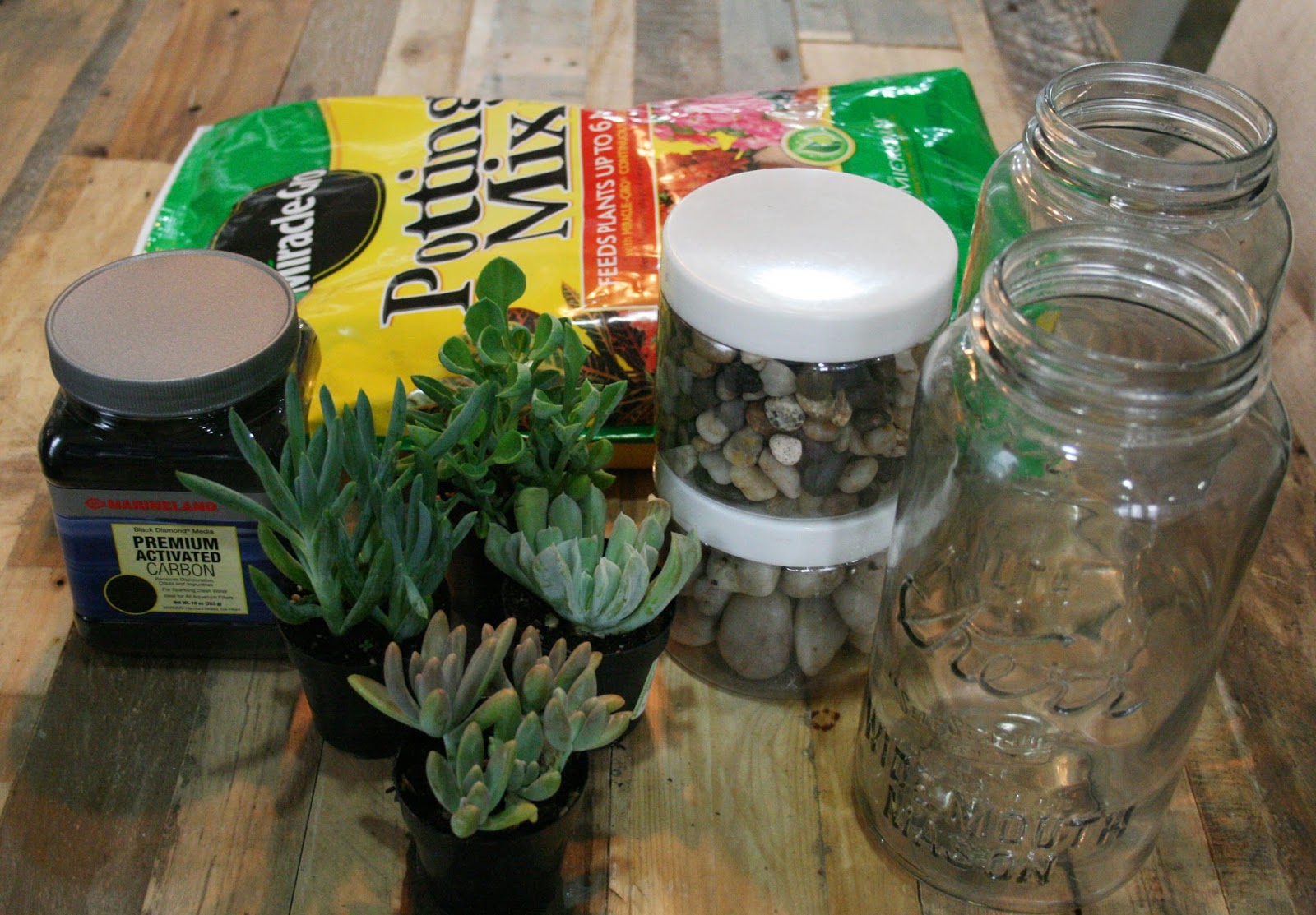 press DIY mason jar terrarium
