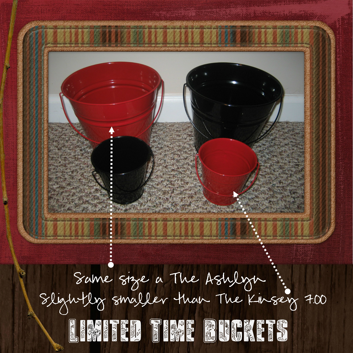 dandelions and dragonflies Products