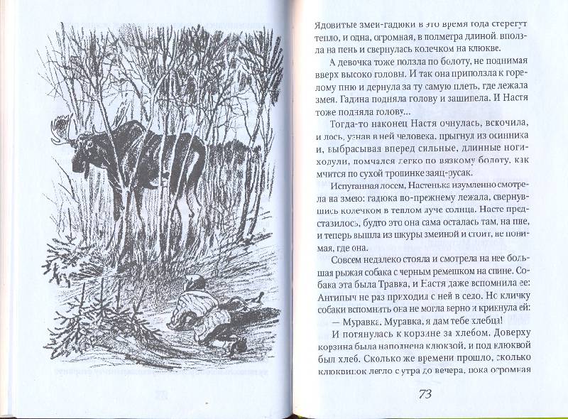 Древний египет история 5 класс