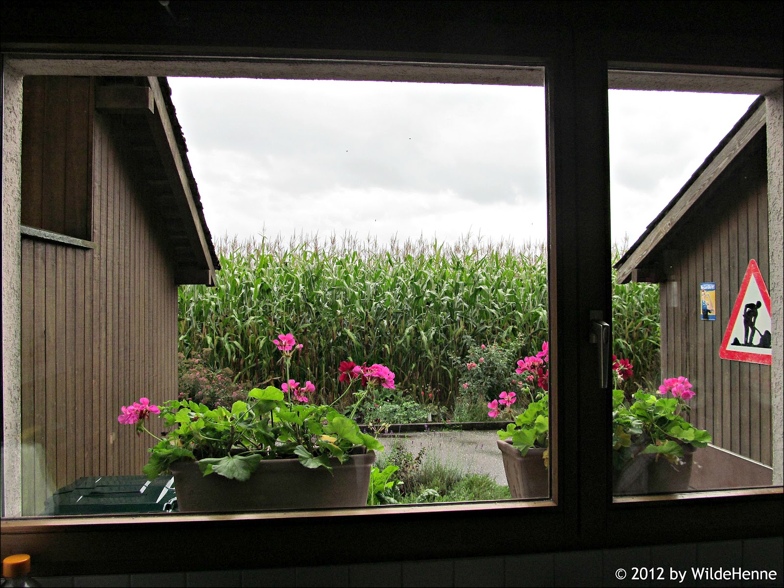 Wildes Poulet: August 2012