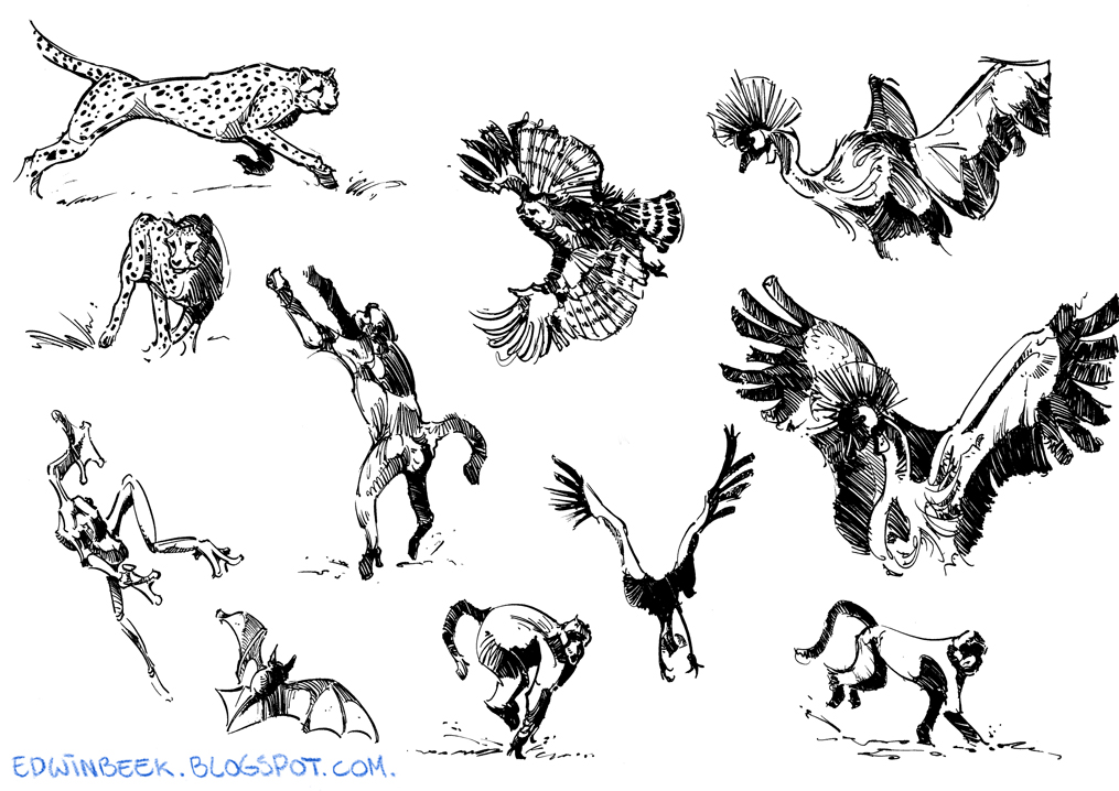 EdwinBeek Animals inmotion