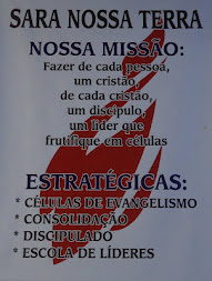 Missão e Estratégias Snt