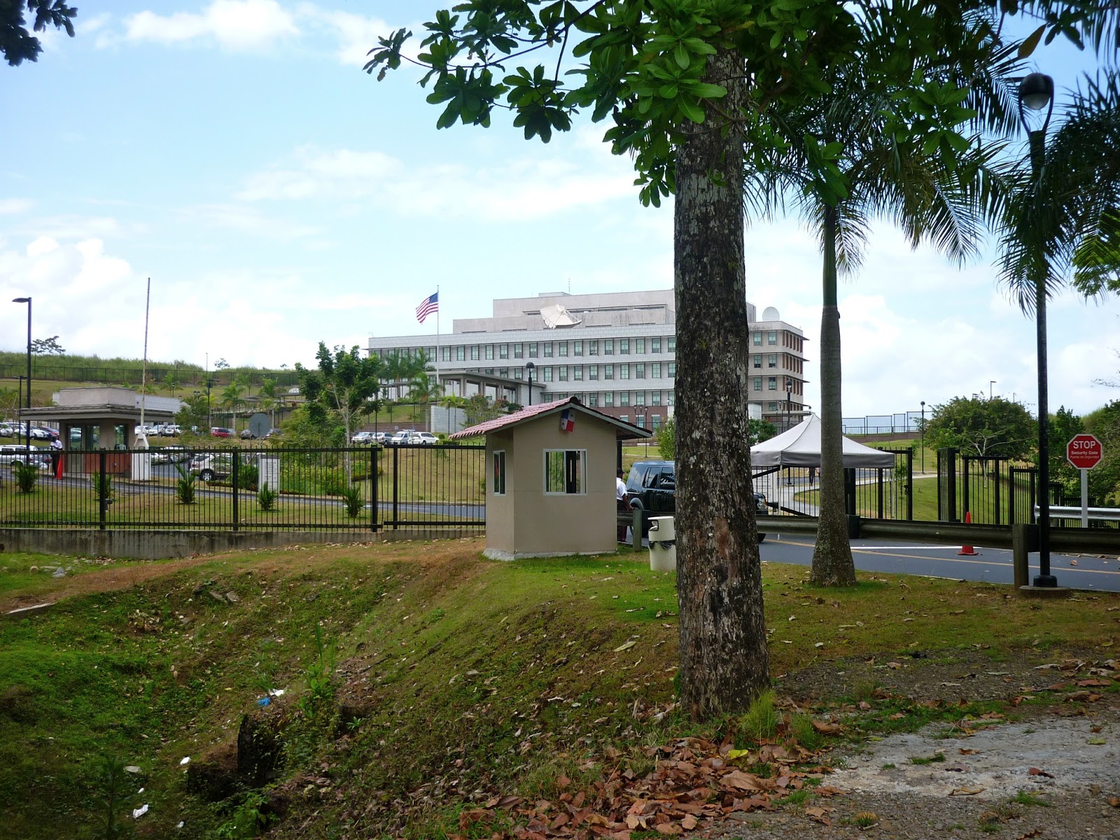 How to get a Panama driver’s license Panama For Real