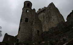Rambles in Castles