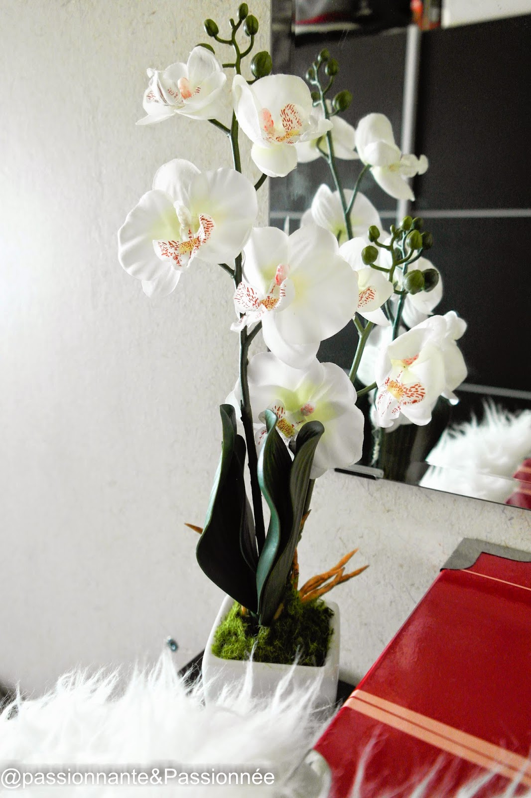 fausse orchidée