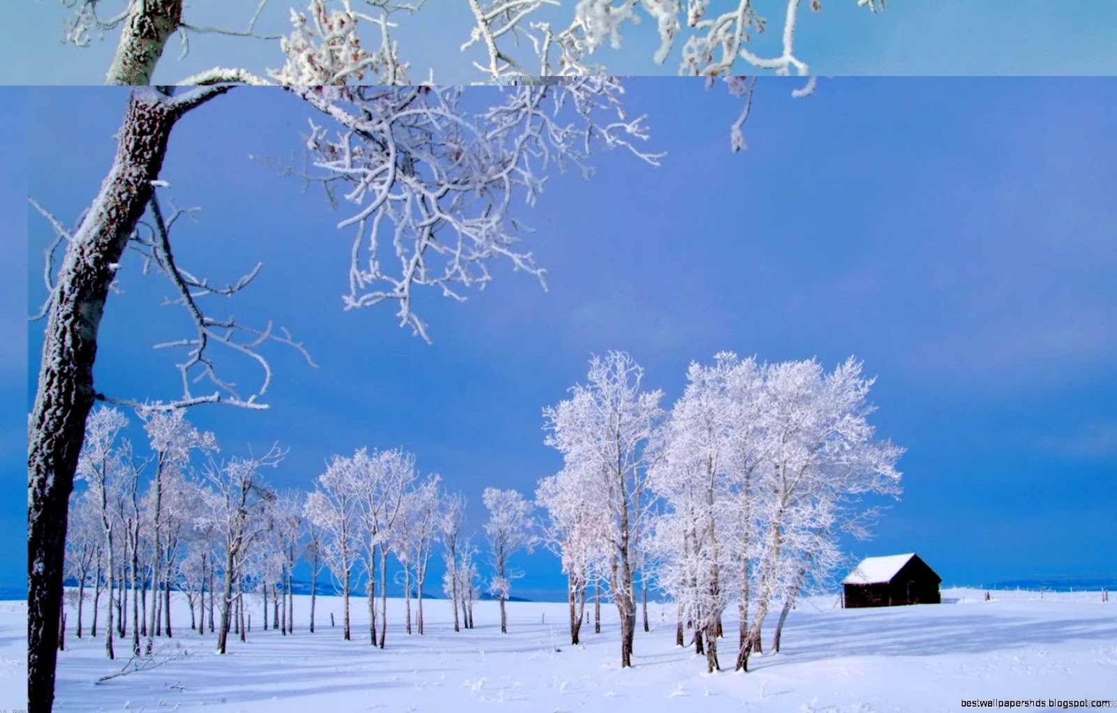 Winter Wallpaper Clip Art Winter Wallpaper Clip Art