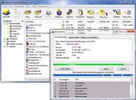 Internet Download Manager 6.12 build 8 - Download IDM Free
