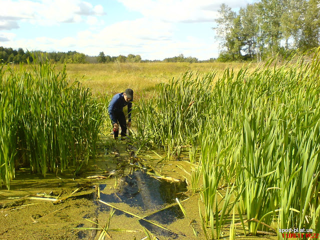 Зображення