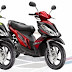 Spesifikasi Suzuki Skydrive Special Edition