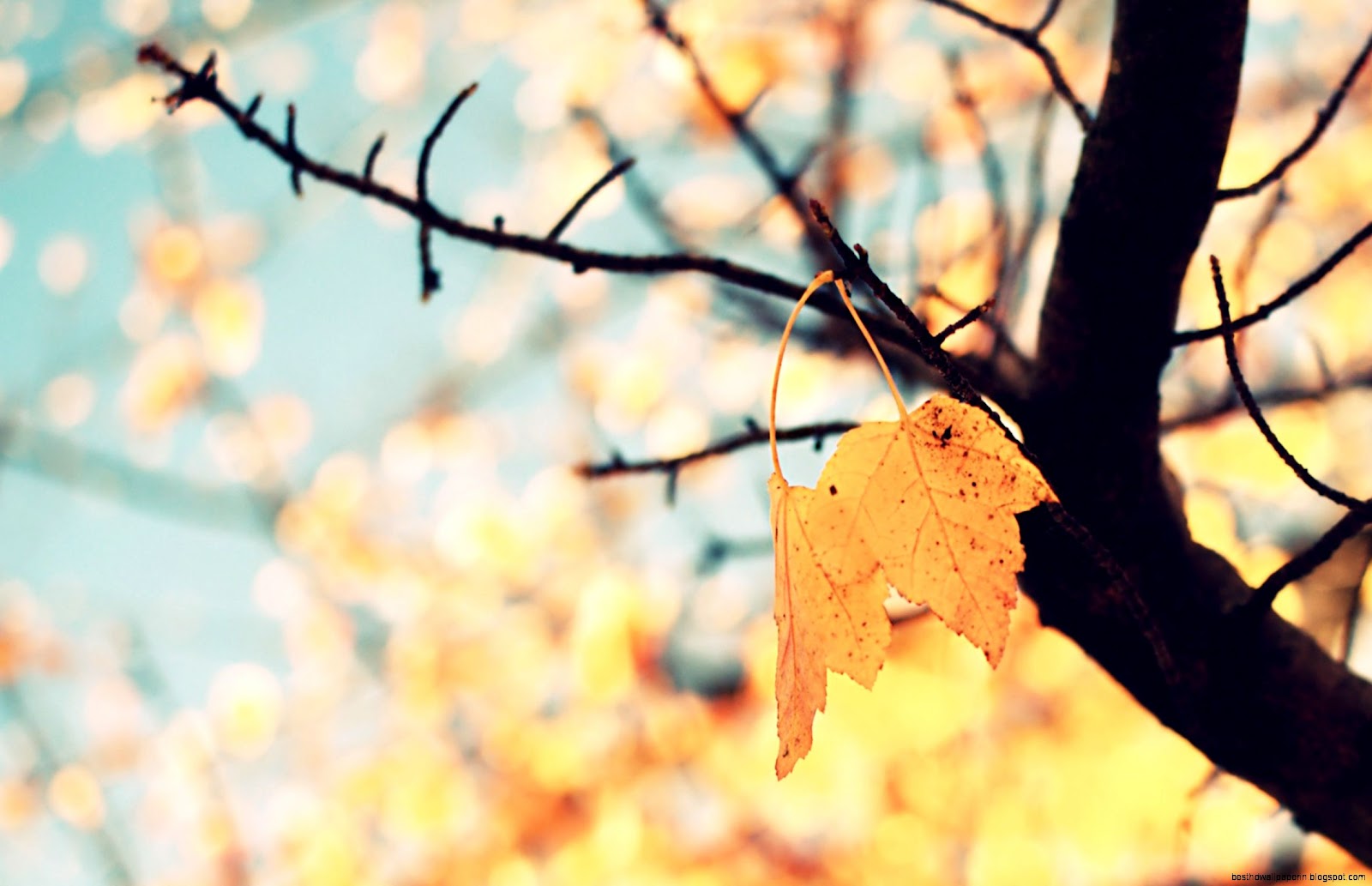Fall Desktop Backgrounds Tumblr Fall Desktop Backgrounds Tumblr