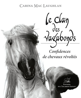 site de rencontre pour les amoureux des chevaux
