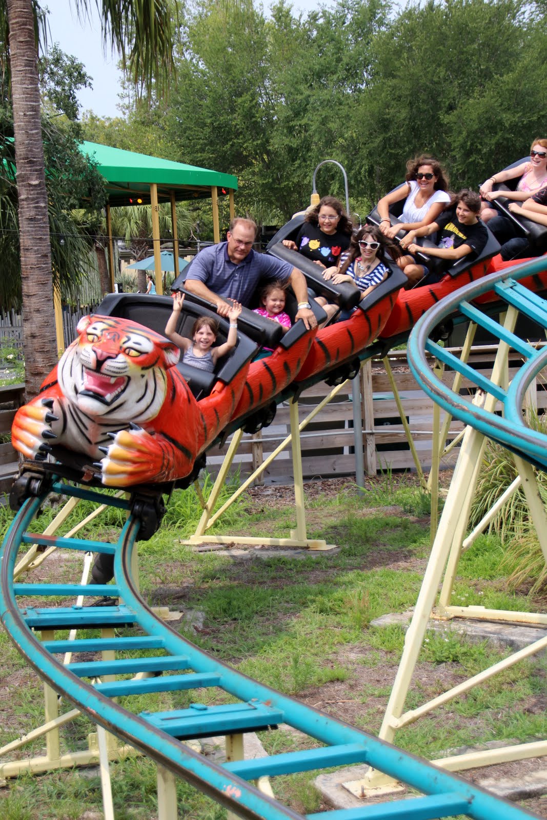 Operation Explorations Don't miss the Tampa's Lowry Park Zoo if you