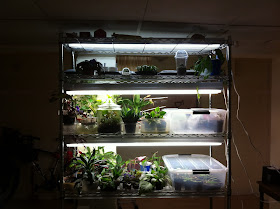 October 2011 ~ The Homestead Hobbyist