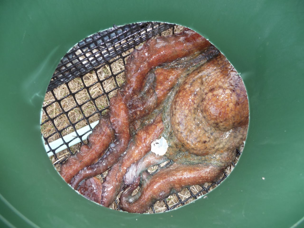 enigmon rencontre du 3 type