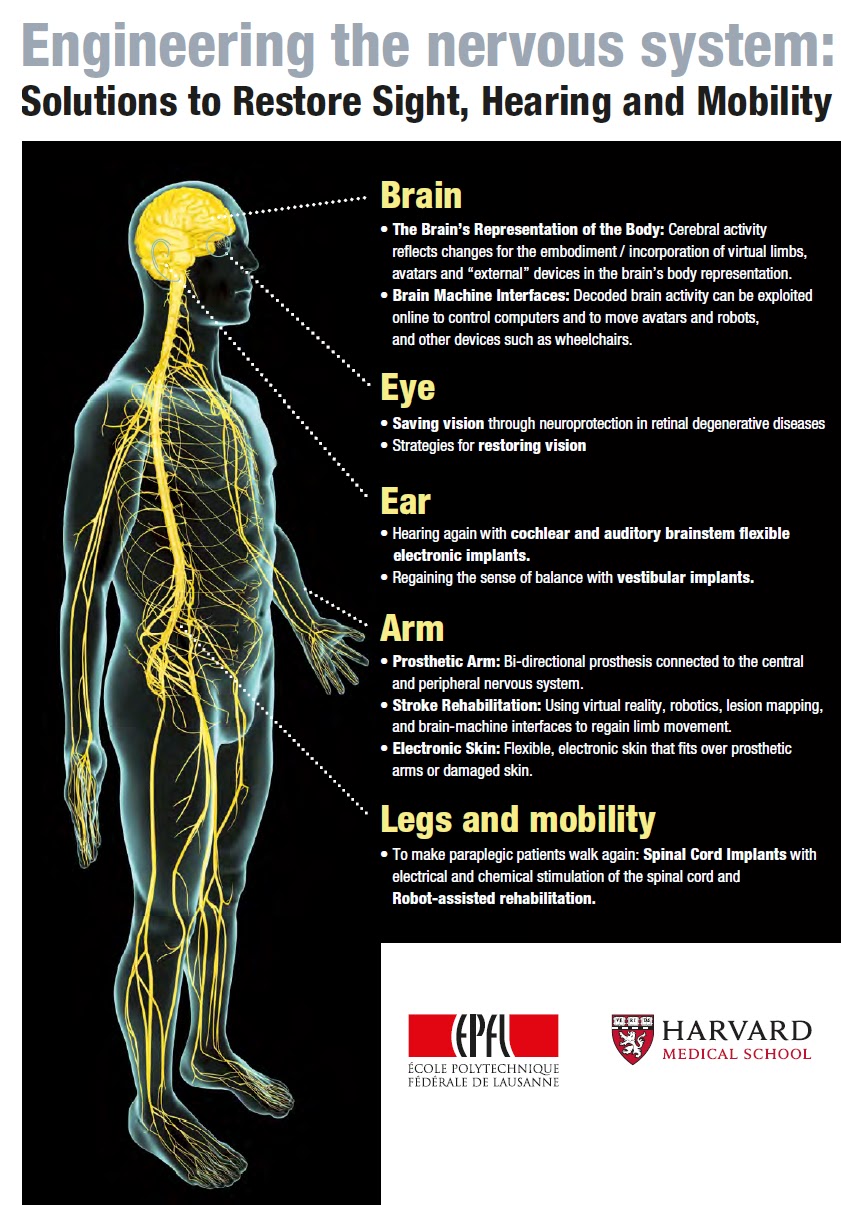 REHABILITACI\u00d3N Y MEDICINA F\u00cdSICA. Mirando al futuro.: febrero 2013