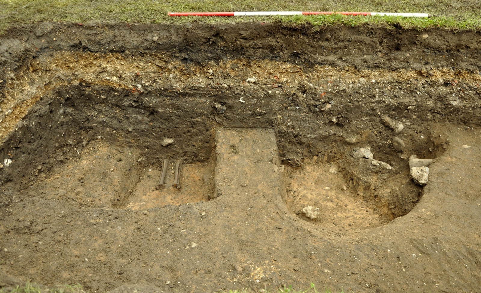 Medieval burial site unearthed at Clare Castle The Archaeology News
