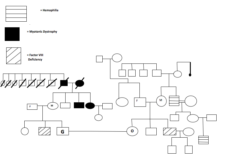 Is there a possibility that greg’s aunt or uncle is homozygous for the myotonic dystrophy (md) gene? image
