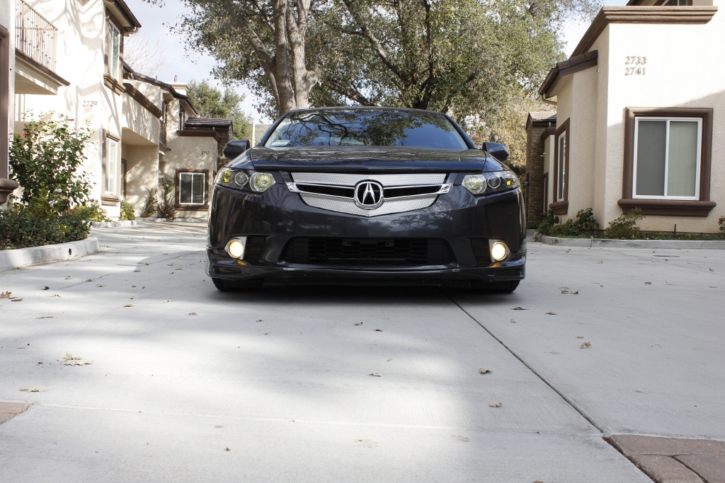 Aboutacura Acura Mdx Shield Grill On Acura Tsx