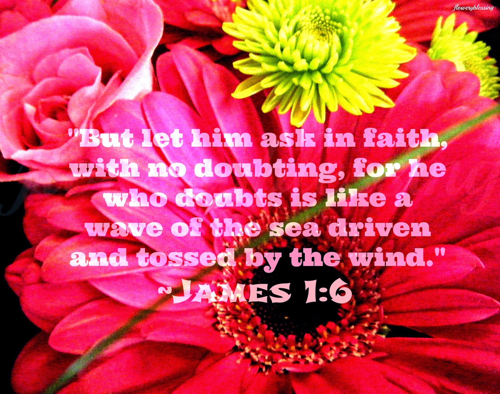 Flowery Blessing "But let him ask in faith, with no doubting, for he who doubts is like a wave