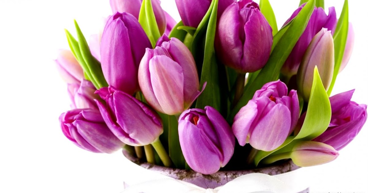 Tulips Bouquet Hd | Wallpapers Gallery