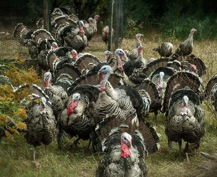 Dan Routh Photography November 2013